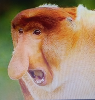 sex pazintys